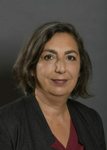 Gülseren Demirel