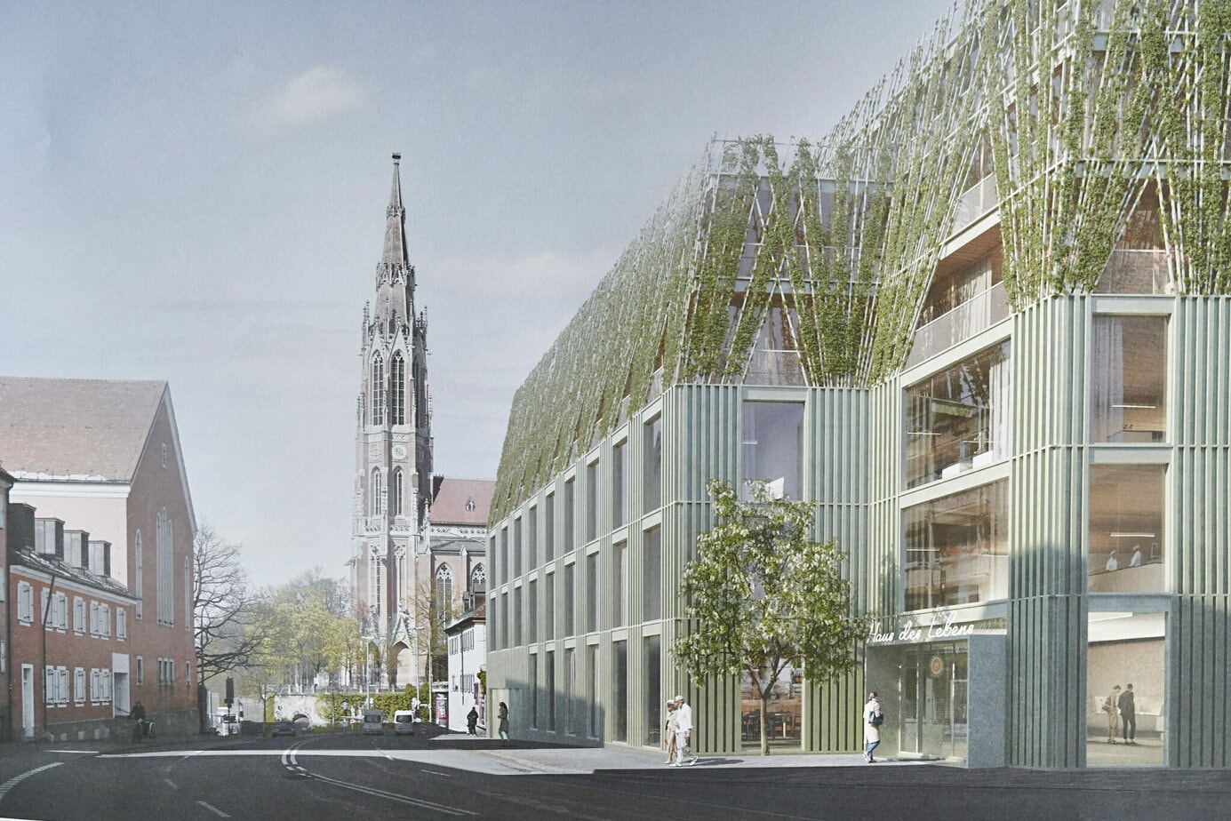 Hospice visual data 4