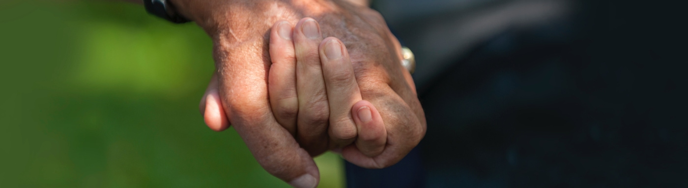 Hospice visual data 3